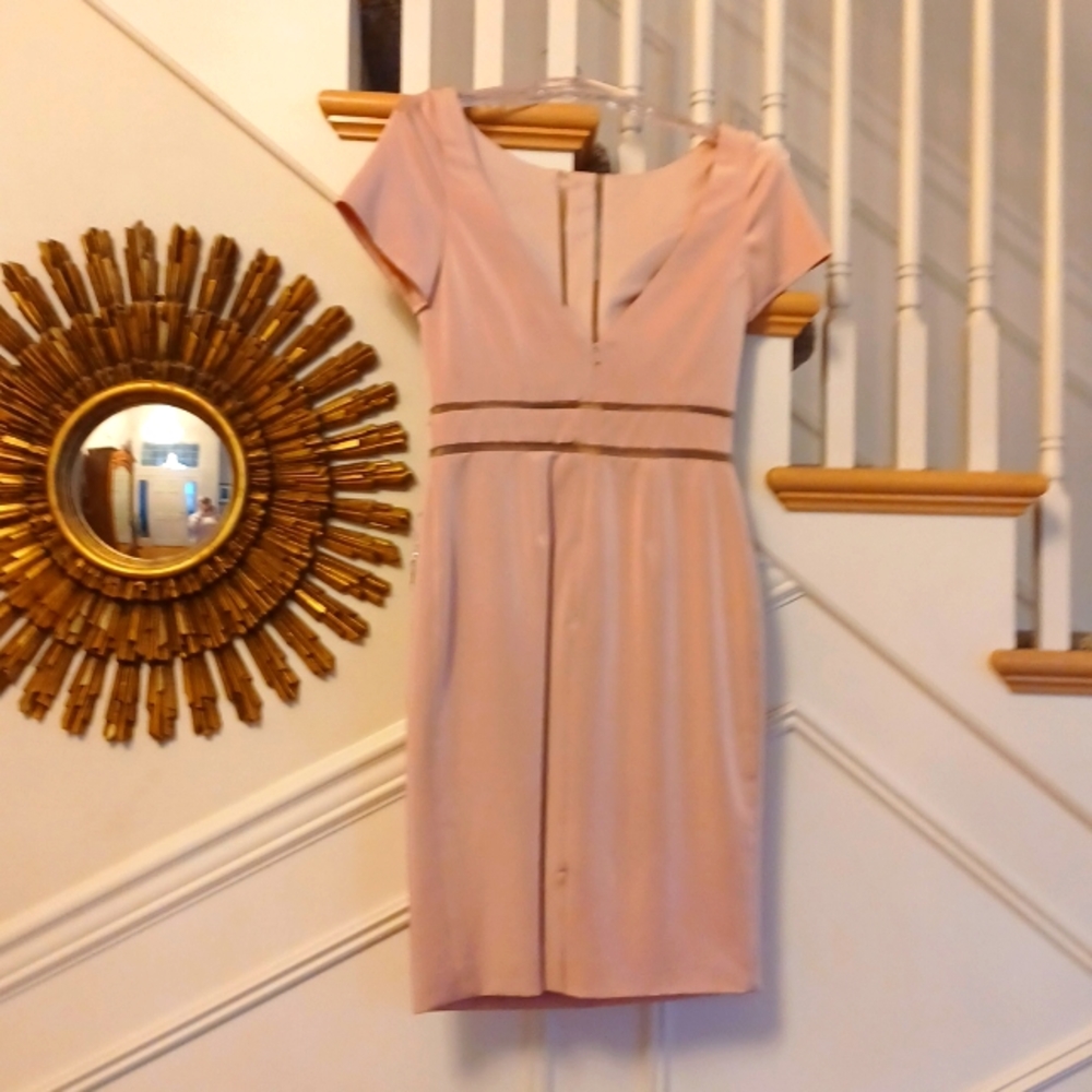 NWT TERANI COUTURE Blush size 4 cocktail dress - Picture 2 of 6
